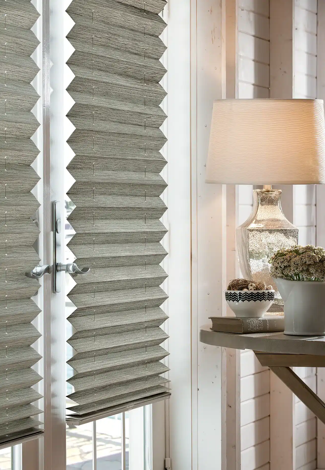 Pleated Shades Doors (1)